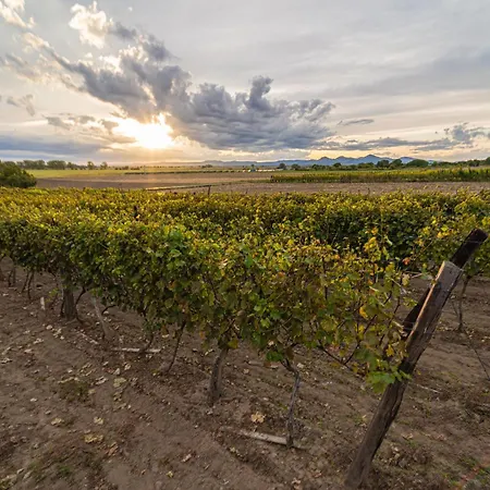 Essentia - Vinarsky Domcek S Vonkajsou Virivkou *