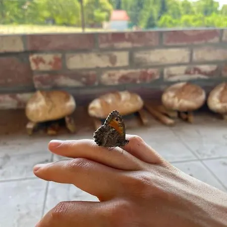 Essentia - Vinarsky Domcek S Vonkajsou Virivkou Apartment Streda nad Bodrogom