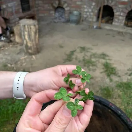 Essentia - Vinarsky Domcek S Vonkajsou Virivkou Apartment Streda nad Bodrogom