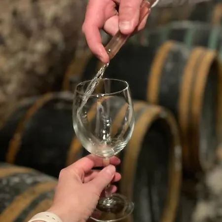 Essentia - Vinarsky Domcek S Vonkajsou Virivkou Apartment Streda nad Bodrogom