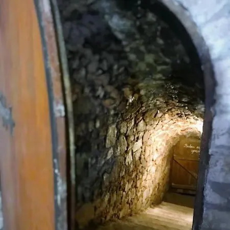 Essentia - Vinarsky Domcek S Vonkajsou Virivkou Streda nad Bodrogom