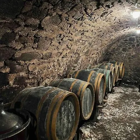 Essentia - Vinarsky Domcek S Vonkajsou Virivkou Apartment Streda nad Bodrogom